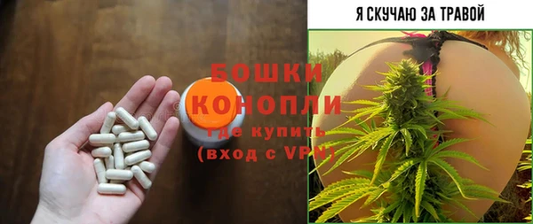 сатива Аркадак