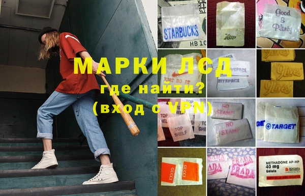 сатива Аркадак