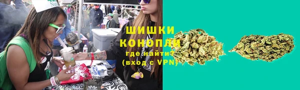 сатива Аркадак