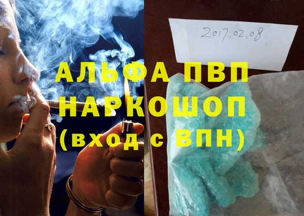 сатива Аркадак