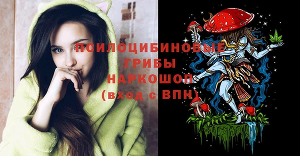 spice Армянск