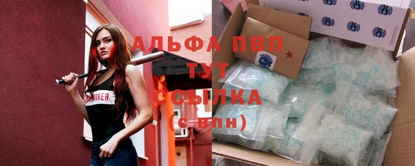 сатива Аркадак