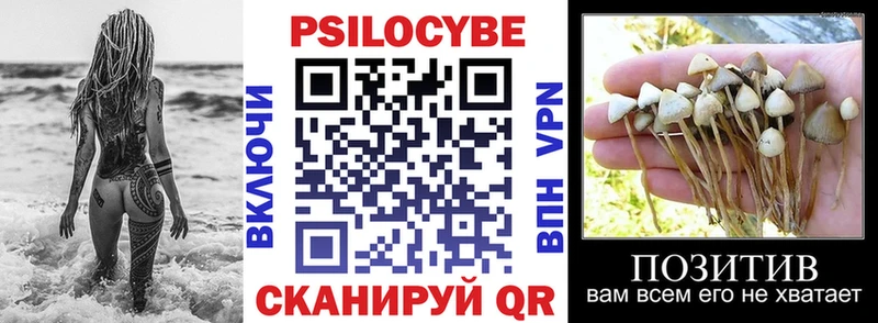 Галлюциногенные грибы Psilocybe  цены наркотик  Темрюк 